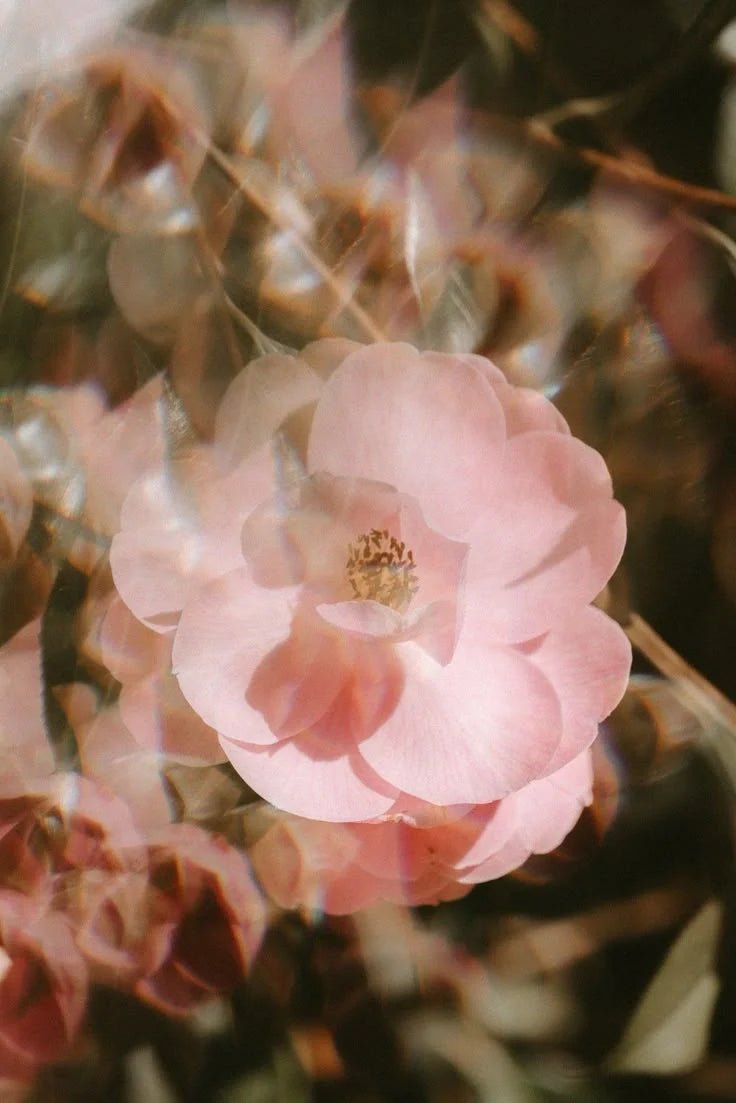 Embracing Your Feminine Energy - Willoma