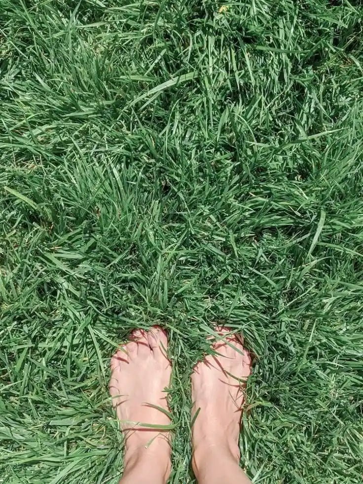 How To Live In The Present Moment - Willoma